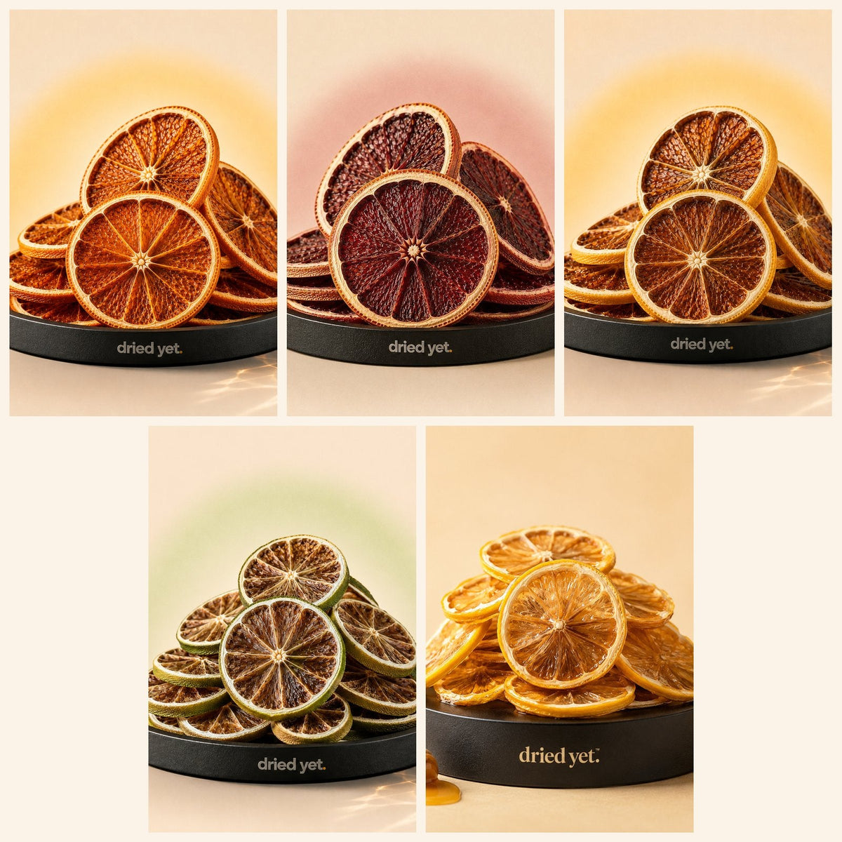 The Citrus Lover Box: dried orange, blood orange, lemon, lime and honey lemon slices